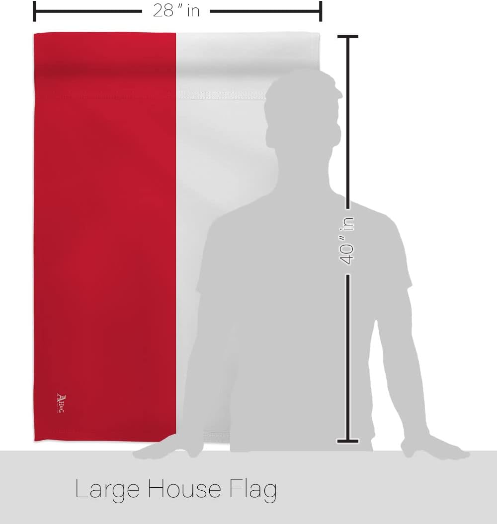 Outdoor Flags for Polish Sport - Party Games Usa のレビューと価格