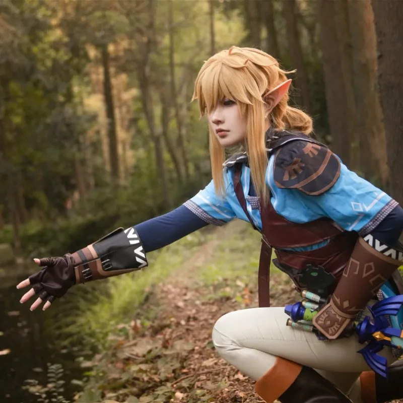 Game Zelda Breath of The Wild  - Zelda Party Games のレビューと価格