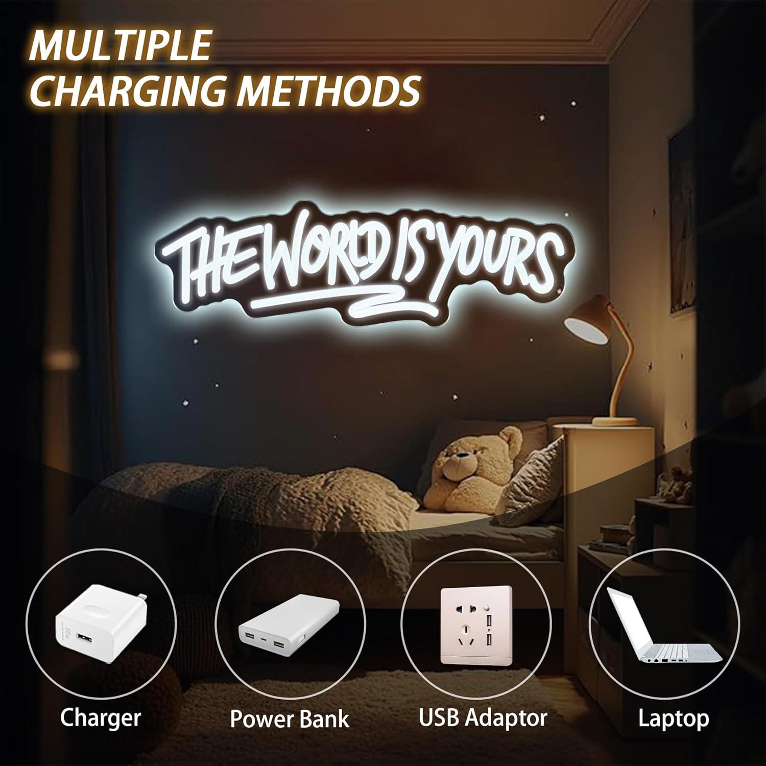 The World is Yours Neon Sign U - Party Games Game のレビューと価格
